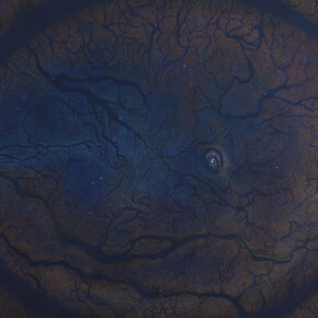 Luisa Rabbia, Birth, 2017, colored pencil, acrylic and fingerprints on canvas, 108 x 202 inches (274 x 513 cm). Courtesy of Peter Blum Gallery, New York
 