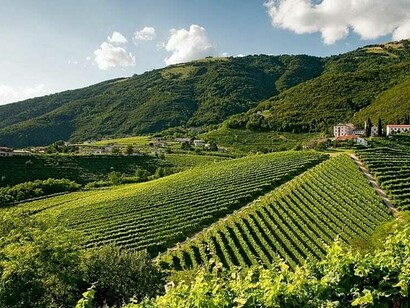 Le Colline del Prosecco nel trevigiano e le coltivazioni intensive