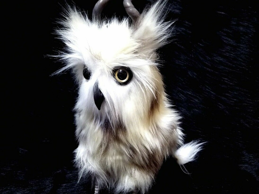 Adventure Awaits. Courtesy of Flower Pepper Gallery