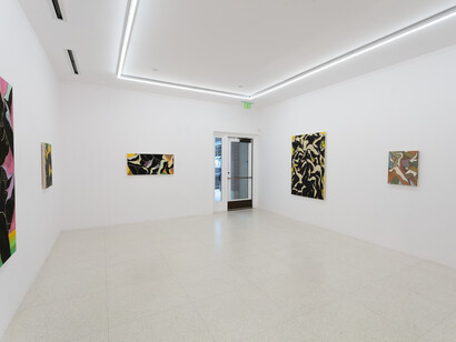 Mark Yang, Spectral Echoes, installation view. Courtesy of the artist and Various Small Fires, Los Angeles/Dallas/Seoul