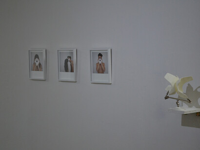 Didier Faustino, vista allestimento II