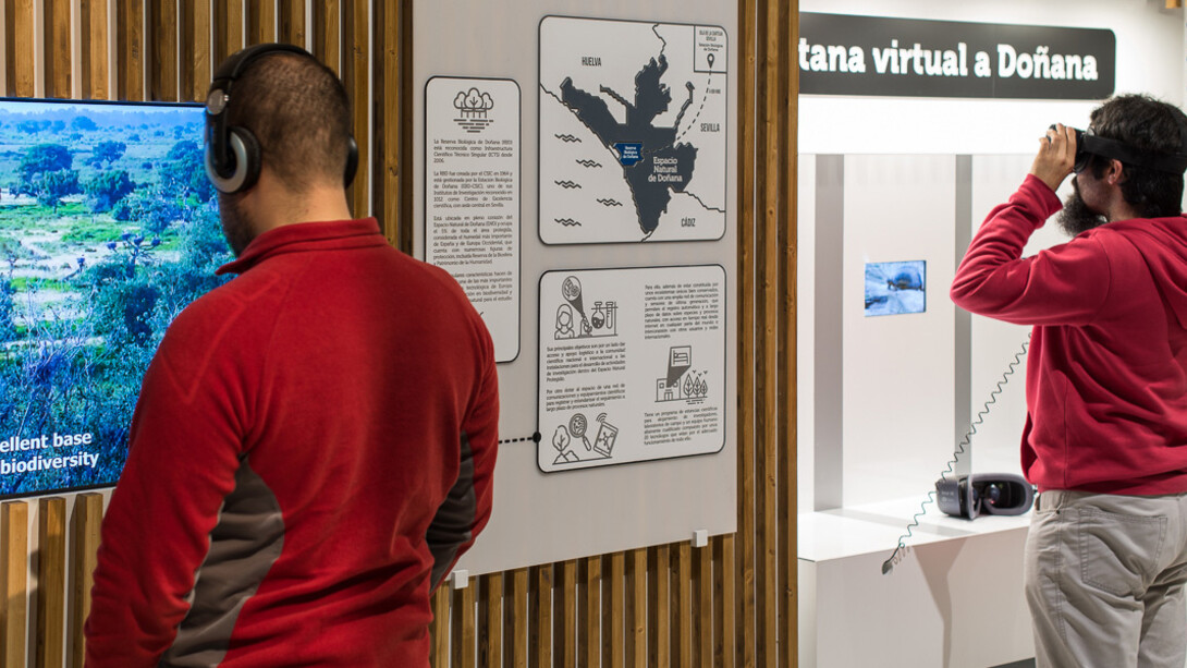 Virtual Window To Doñana. Courtesy of Casa de la Ciencia