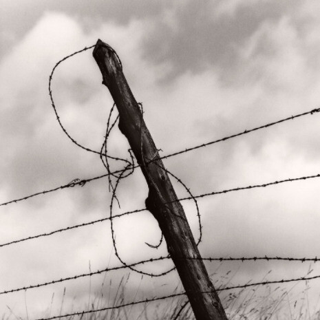 Michael Crouser. Courtesy of ClampArt