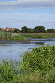 London Wetland © Gehan de Silva Wijeyeratne