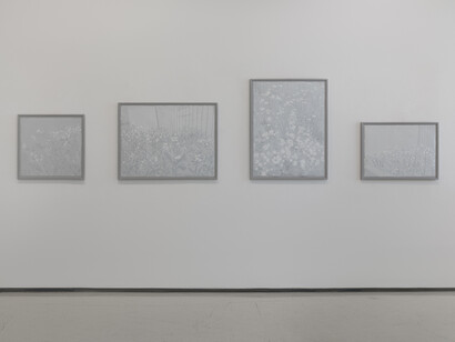 Eyeful, installation view. Courtesy of Noga Gallery 