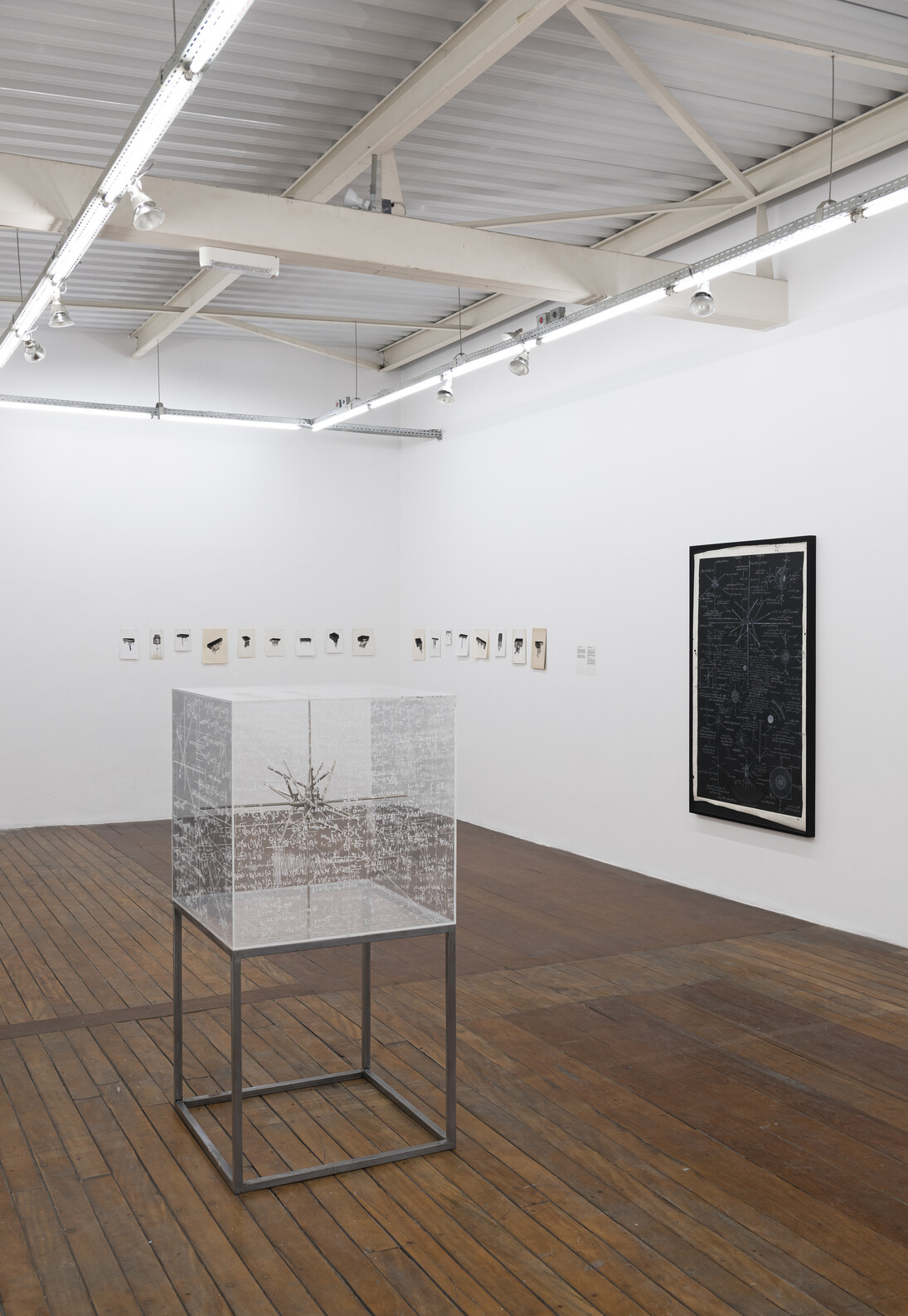Henrique Cesar. Composed Cosmology