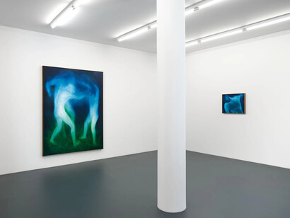 Xie Lei, Pain of others, exhibition view. Courtesy of François Ghebaly Gallery