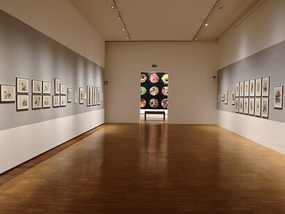 Analytische schönheit. Blumenbilder aus 200 jahren, ausstellungsansicht. Mit freundlicher genehmigung der Neuen Galerie Graz