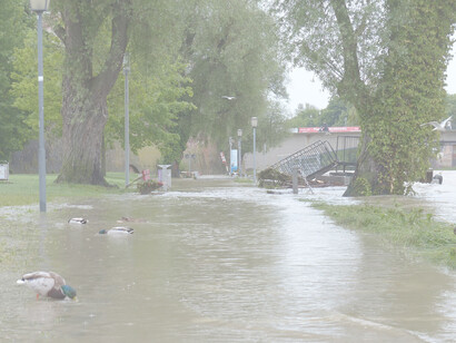 Alluvione. Serena Giacomin ha descritto l'uragano Ciaran: «Si è trattato di una tempesta extratropicale, non tropicale, che quindi può caratterizzare le nostre latitudini, ma certamente con un'intensità superiore a quelle a cui siamo abituati