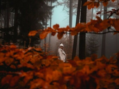 A woman moves slowly through an autumn forest, the fog thick around her and red leaves scattered at her feet