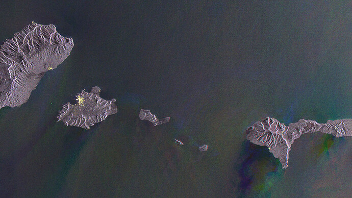 Gayle Chong Kwan, Waste archipelago. Courtesy of Galleria Alberta Pane