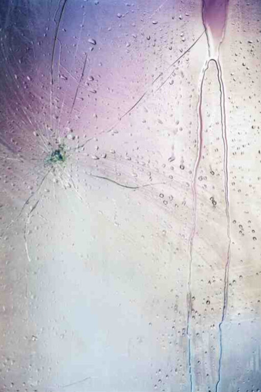 Marilyn Minter. Courtesy of Lehmann Maupin