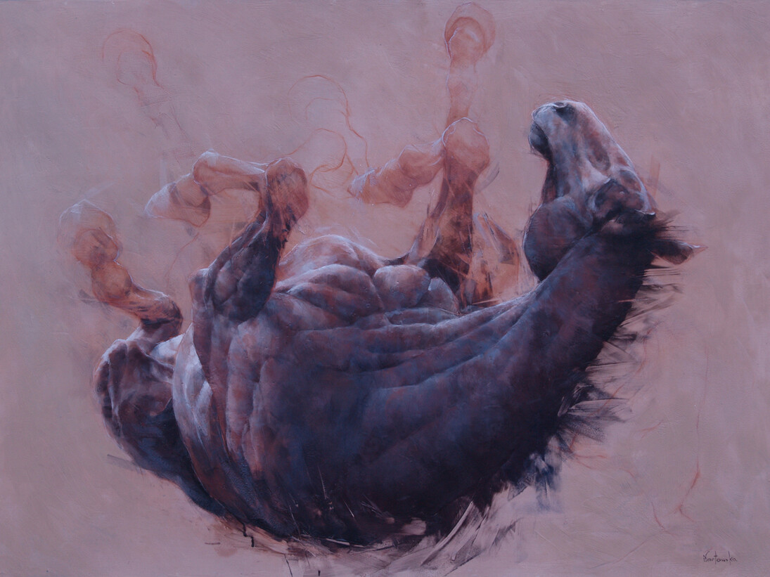 Iwona Nartowska O’Reilly, Rolling