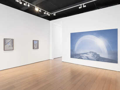 Theodora Allen, Oak, exhibition view. Courtesy of Paul Kasmin Gallery