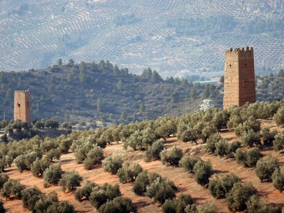 Jaén, tierra de olivos