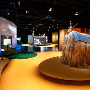 In Mali, when animals dance, exhibition view. Courtesy of Musée des Confluences