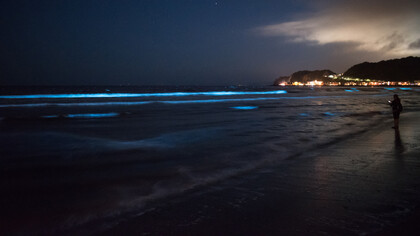 O mar leitoso é um fenômeno bioluminescente raro que cria um brilho contínuo e leitoso no oceano, intrigando marinheiros e cientistas. Causado por bactérias bioluminescentes, ele oferece um espetáculo natural deslumbrante e misterioso