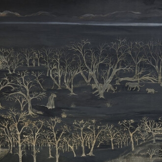 Chirag Patel, Gir landscape, 2017. Courtesy of Akar Prakar