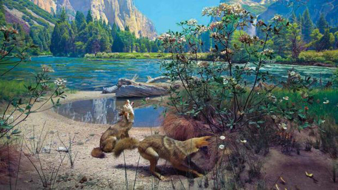 Mammals. Courtesy of American Museum of Natural History