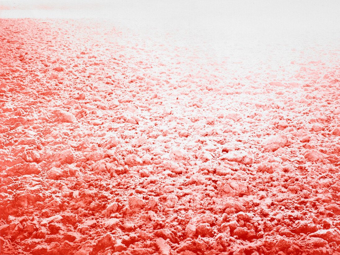 Nouvelles Vagues, Exhibition view. Courtesy of Carrè d'Art