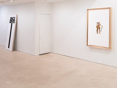 Jimmy Raskin, Cliché garden, exhibition view. Courtesy of Miguel Abreu Gallery