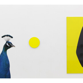 Thomas Grünfeld & Gary Hume, Iron & Diamonds, Massimo De Carlo, Milano, 2014, Photo by Roberto Marossi, Courtesy Massimo De Carlo, Milano/London