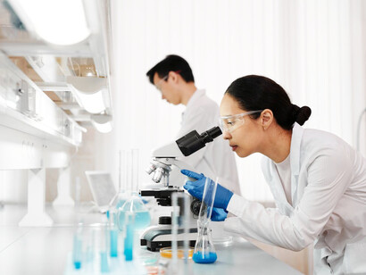 With careful observations, the researchers study the plasmodium's decision-making processes as it navigates complex environments in search of food