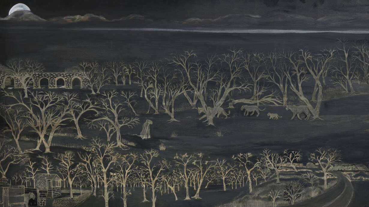 Chirag Patel, Gir landscape, 2017. Courtesy of Akar Prakar