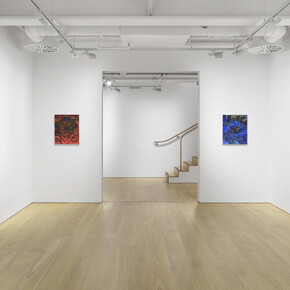 James Owens, Allus do it fer thissen, exhibition view. Courtesy of Pilar Corrias Gallery