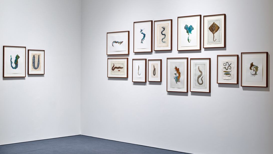 Anri Sala. Courtesy of Mudam Luxembourg