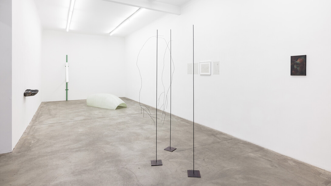 Exhibition views, Pozzetto at Galerie Martin Janda, Vienna, 2026. Photo by Manual Carreon Lopez