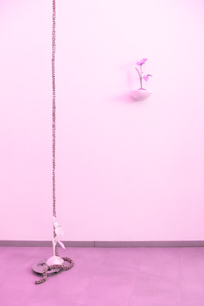 Zsuzsi Magyari, Inner stem, exhibition view. Courtesy of am projects. Photo by Mátyás Gyuricza