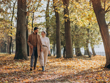 A couple strolling through a park in autumn, capturing a peaceful moment in a natural setting
