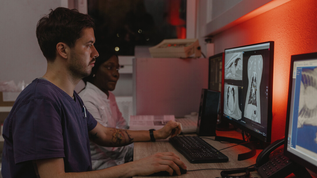 Colegas de trabalho analisam imagem de ultrassom gerada por inteligência artificial