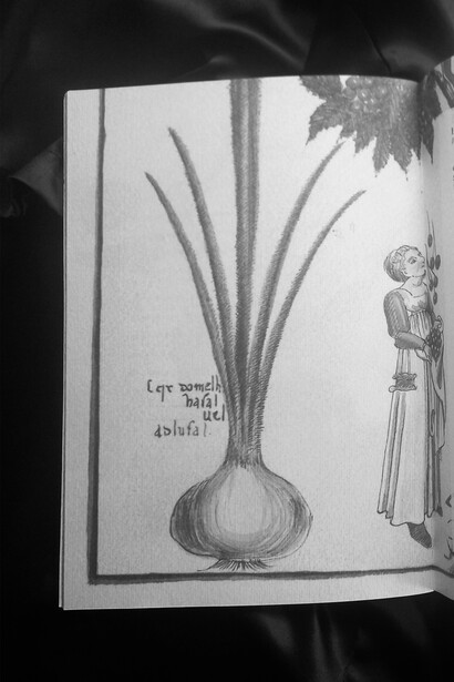 Mariella Busi De Logu, nero scarlatto, 2011