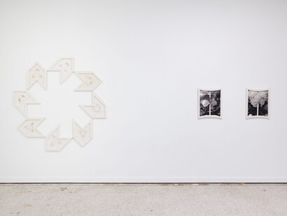 Alberto Checa, ConchaFlush, exhibition view. Courtesy of Emerson Dorsch Gallery