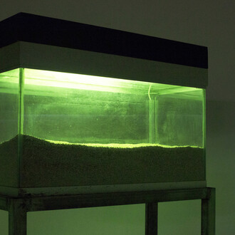 Claire Isorni
Dune, 2017
© Claire Isorni