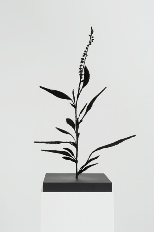 Michael Canning. Courtesy of Oliver Sears Gallery