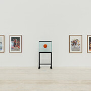 Appearance Stripped Bare. Courtesy of Museo Jumex