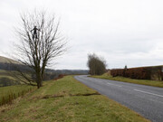 Andy Goldsworthy. Courtesy of Haines Gallery