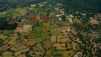 Historicamente, Portugal tem sofrido de uma lacuna estrutural ao nível do cadastro predial. Durante décadas, muitos prédios, em especial os rústicos localizados em zonas do interior, não se encontravam corretamente registados ou identificados, o que resultava num território desorganizado e numa enorme dificuldade em planear, proteger e investir de forma eficaz. A ausência de informação sobre os limites dos terrenos e sobre quem são os respetivos proprietários tem contribuído para o abandono rural, para a fragmentação extrema da propriedade e para a proliferação de situações de indefinição legal, que dificultam a concretização de políticas públicas e privadas