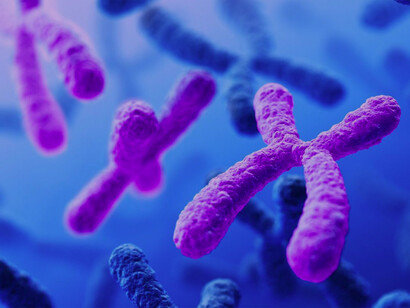 Los telómeros (del griego τέλος, «final», y μέρος, «parte») son los extremos de los cromosomas