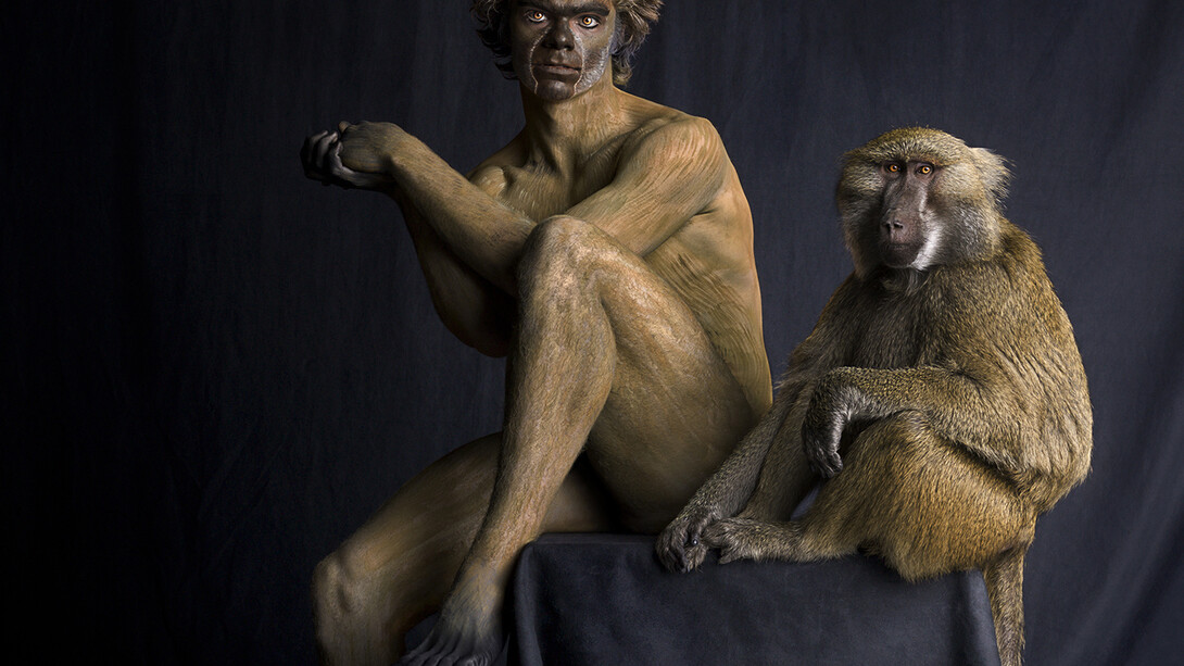 Lennette Newell, Baboon (detail), Archival pigment print on Hahnemühle Fine Art paper, 100 x 76 cm, Edition of 12, © Lennette Newell, 2011