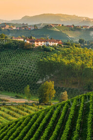 Paesaggio delle Langhe