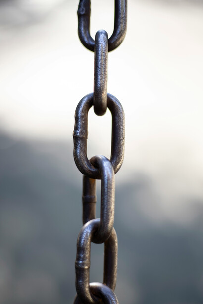 La muchacha dio un salto de alegría y llegó al otro lado, las cadenas se encontraban destrozadas en el suelo, entre plumas y entre hojas y flores que se iban desprendiendo de la enredadera de la pérgola