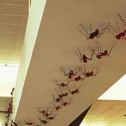 Brute Neighbors, Joe Peragine, 2001