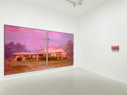 Tursic & Mille, Lavis en rose, vue d'exposition. Avec l'aimable autorisation de la Galerie Max Hetzler
