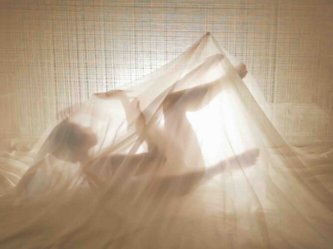 Bongsu Park, CORE, 2014, single channel HD video, 6'34'', Editions of 3, 2 AP