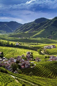 Le Colline del Prosecco