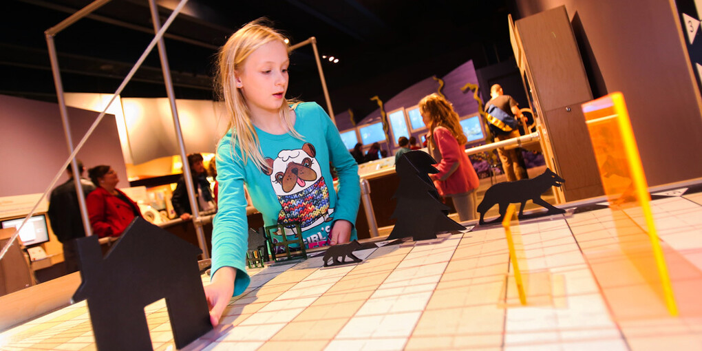 Math Moves! Courtesy of Museum of Science